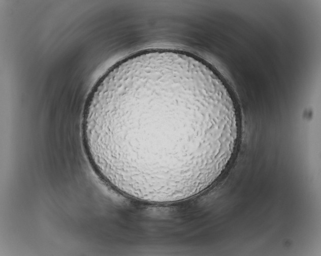 X0000111651237200908071359