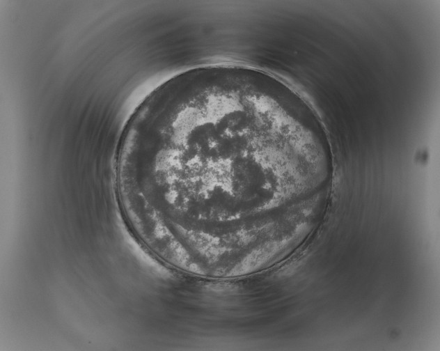 X0000111651239200908071359