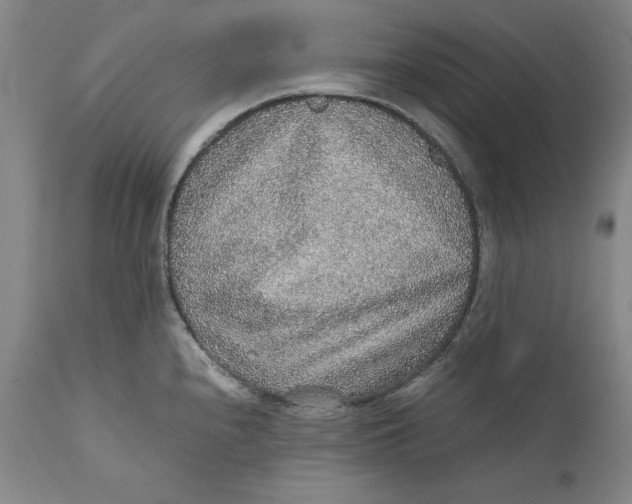 X0000111651240200908071359