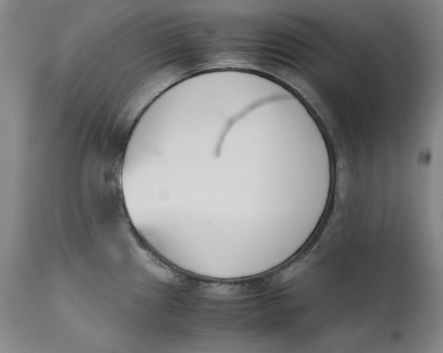 X0000111651241200908071359