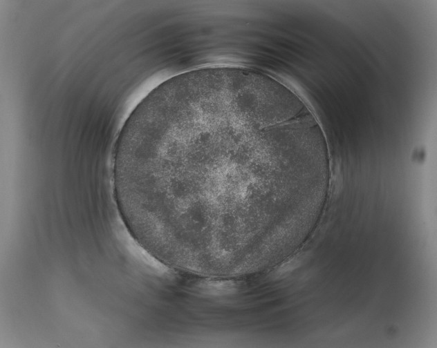 X0000111651243200908071359