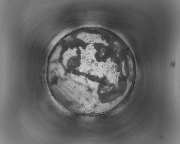 X0000111651245200908071359