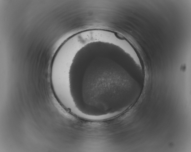 X0000111651246200908071359