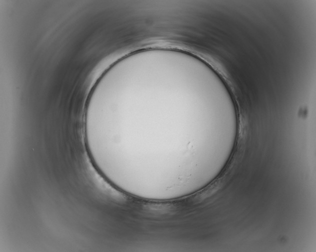 X0000111651247200908071359