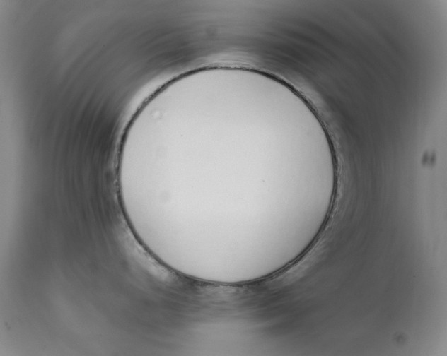 X0000111651248200908071400