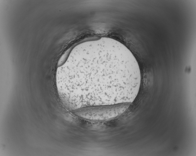 X0000111651249200908071359