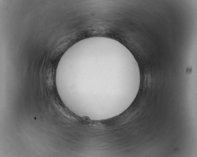 X0000111651250200908071359