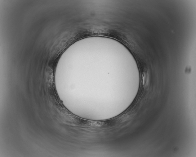 X0000111651251200908071359