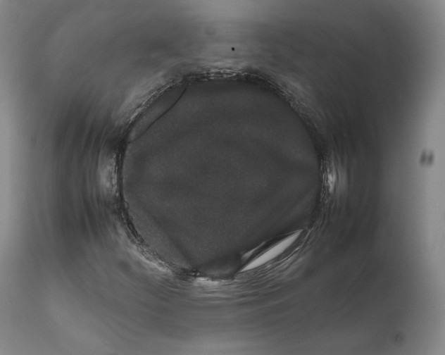 X0000111651252200908071359