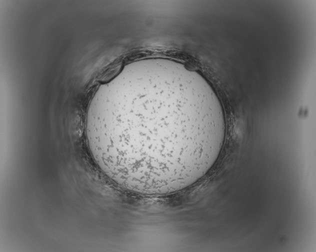 X0000111651253200908071359