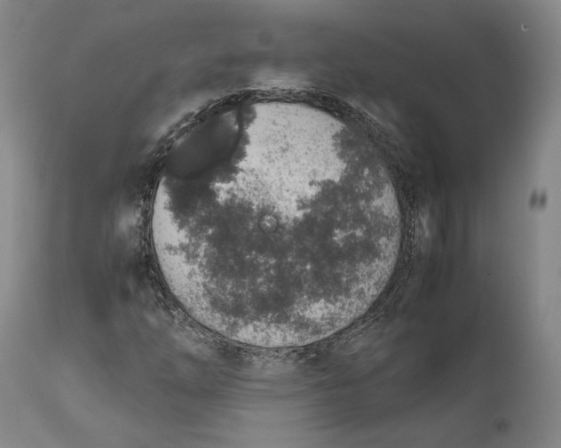X0000111651254200908071359