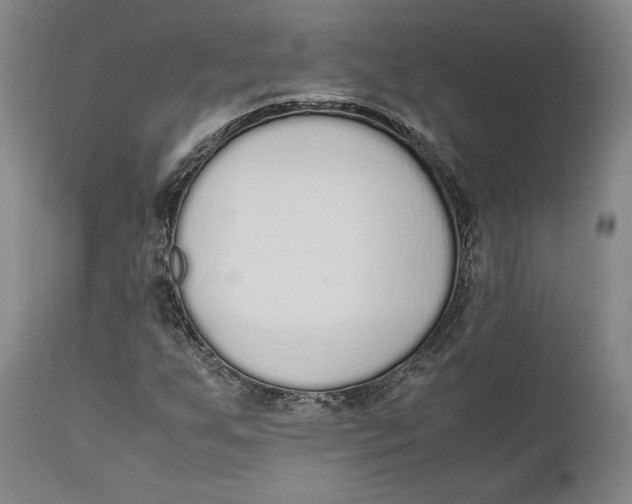 X0000111651255200908071359