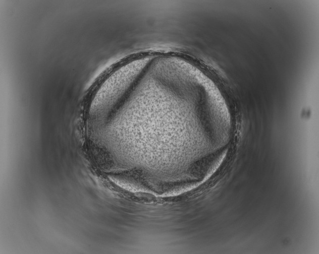 X0000111651256200908071359
