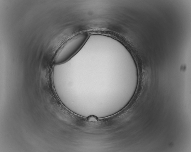 X0000111651257200908071359