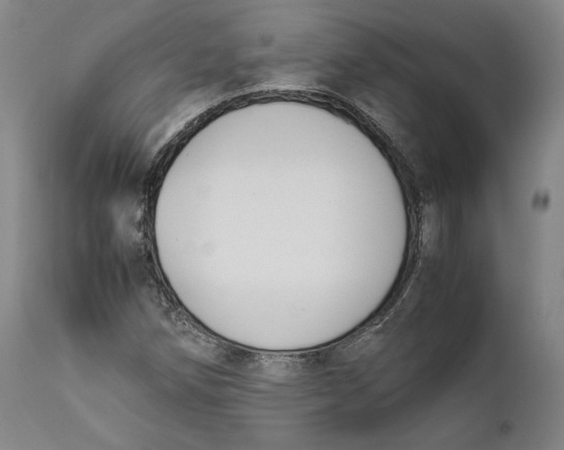 X0000111651258200908071359