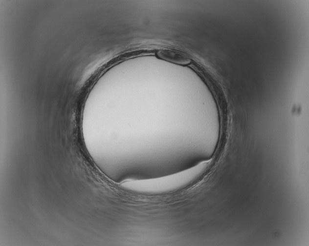 X0000111651261200908071359