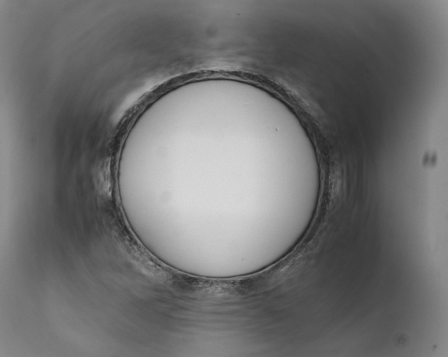 X0000111651262200908071359