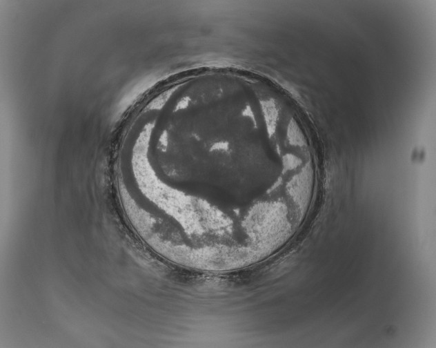 X0000111651263200908071358