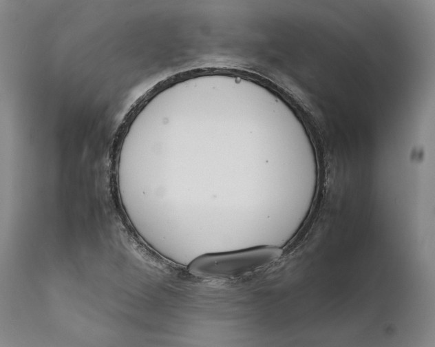 X0000111651264200908071358