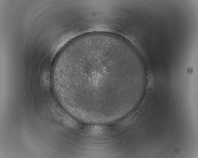 X0000111651266200908071358