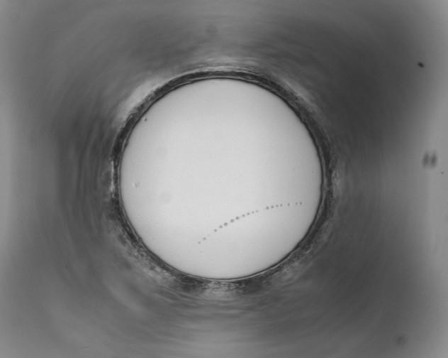 X0000111651267200908071358