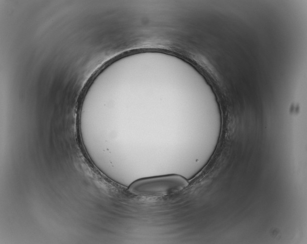 X0000111651268200908071358