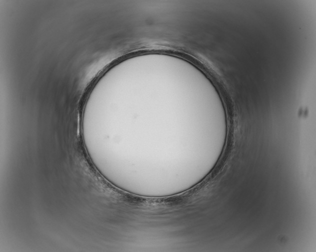 X0000111651269200908071358