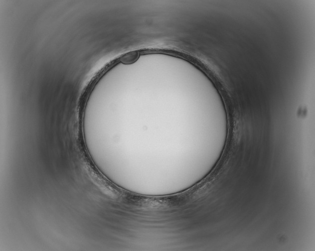 X0000111651270200908071358