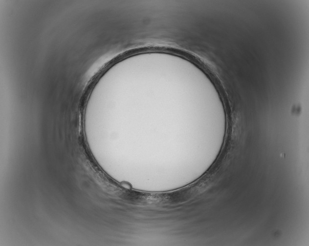 X0000111651271200908071358