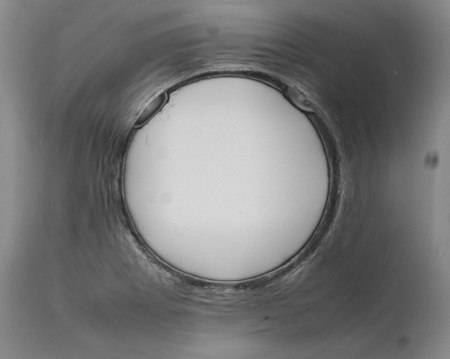 X0000111651273200908071358