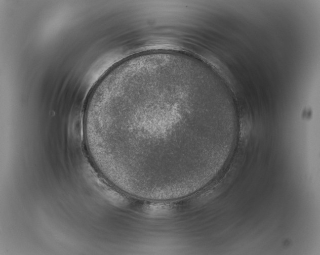 X0000111651274200908071358