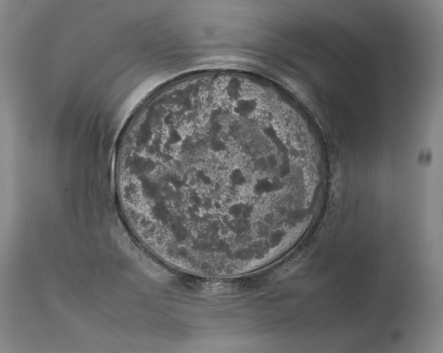 X0000111651275200908071358