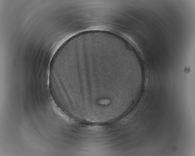 X0000111651276200908071358