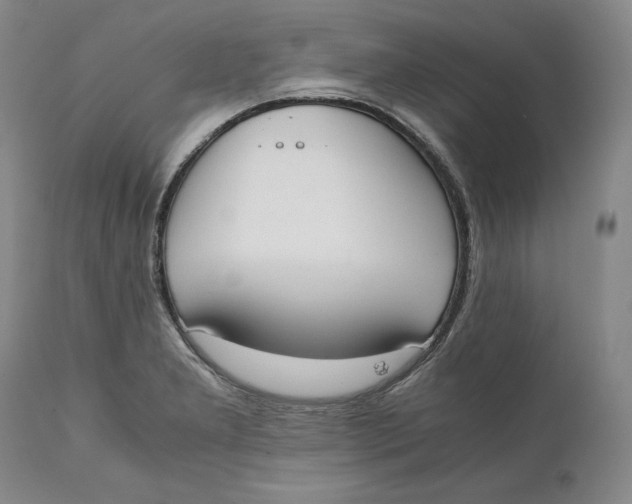 X0000111651277200908071358