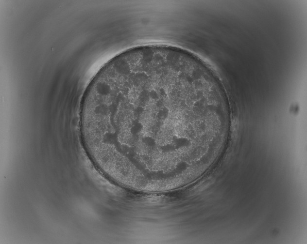 X0000111651279200908071358