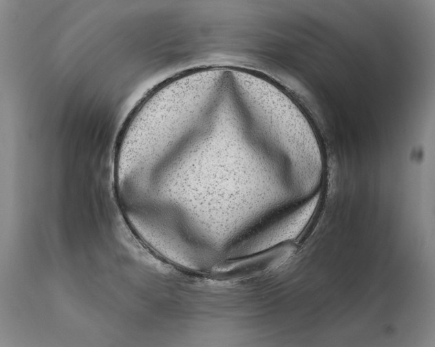 X0000111651280200908071358