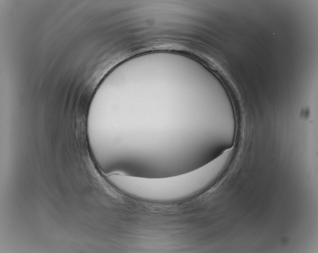 X0000111651281200908071358