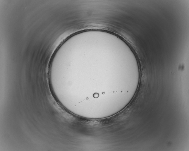 X0000111651283200908071358