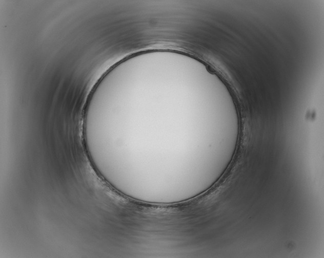 X0000111651284200908071358