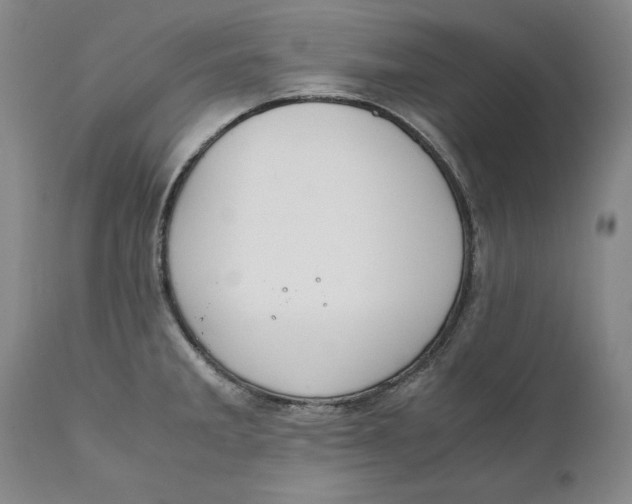 X0000111651285200908071358