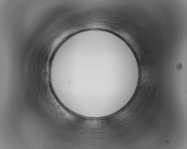 X0000111651286200908071358