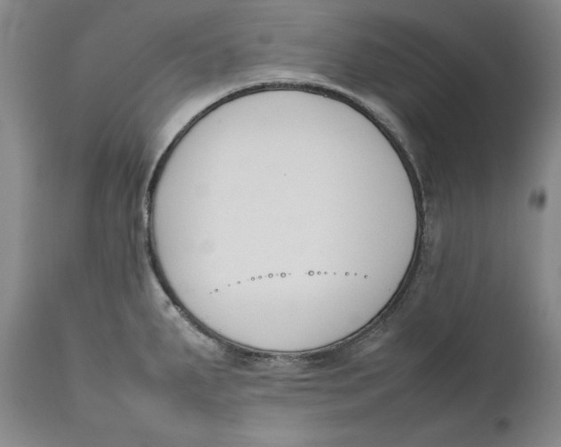 X0000111651287200908071358