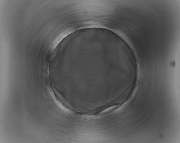 X0000111651289200908071358