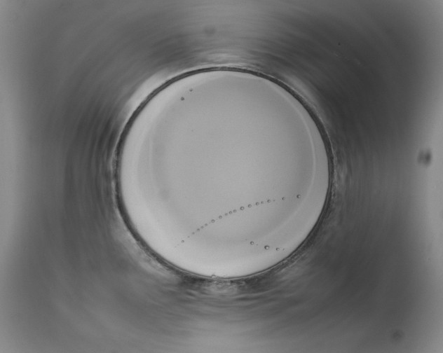 X0000111651291200908071358