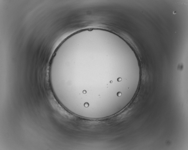 X0000111651292200908071358