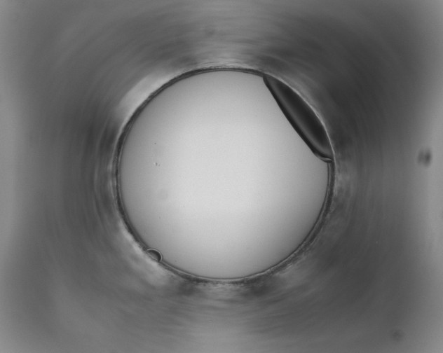X0000111651293200908071358