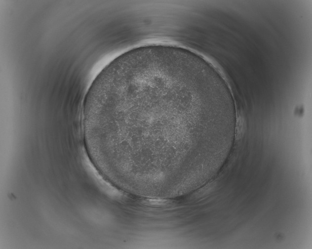 X0000111651295200908071358