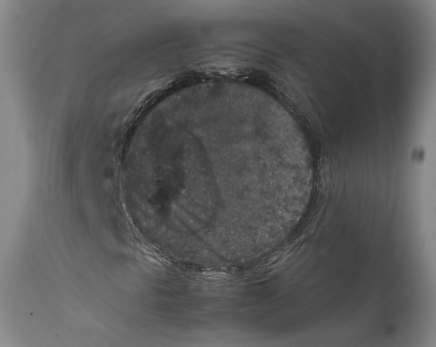 X0000111651297200908071357
