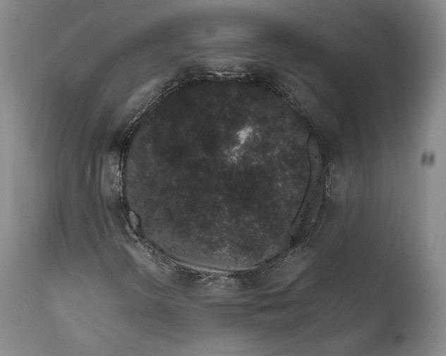 X0000111651298200908071357