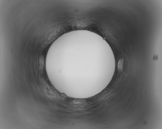 X0000111651299200908071357